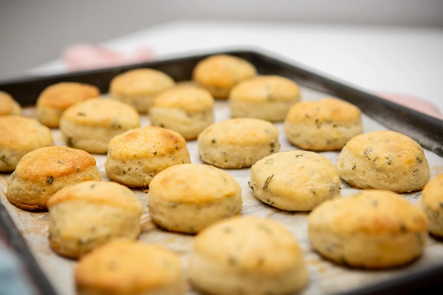 Rosemary and goat cheese biscuit dough