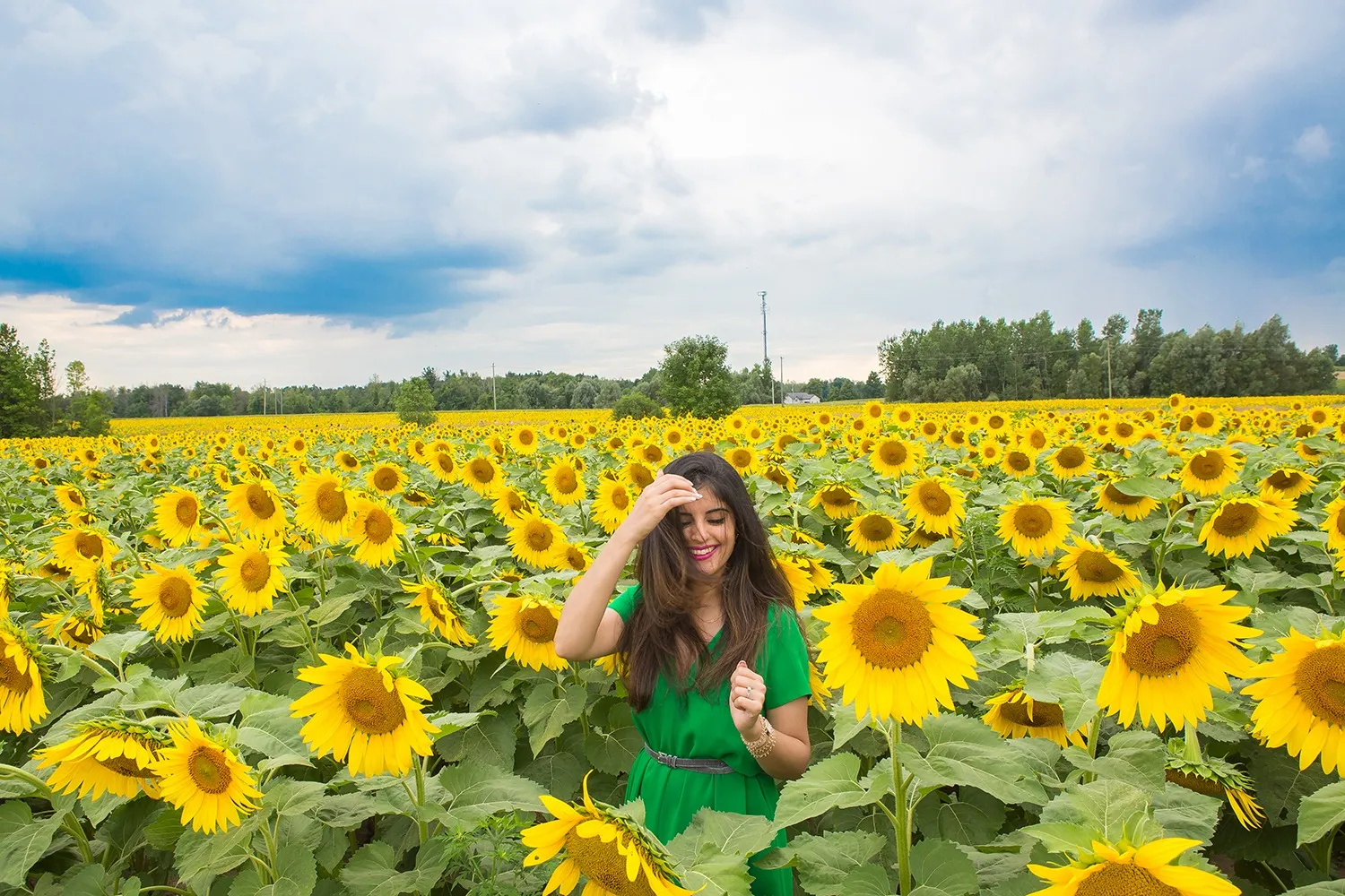 Standing in a sunflower field