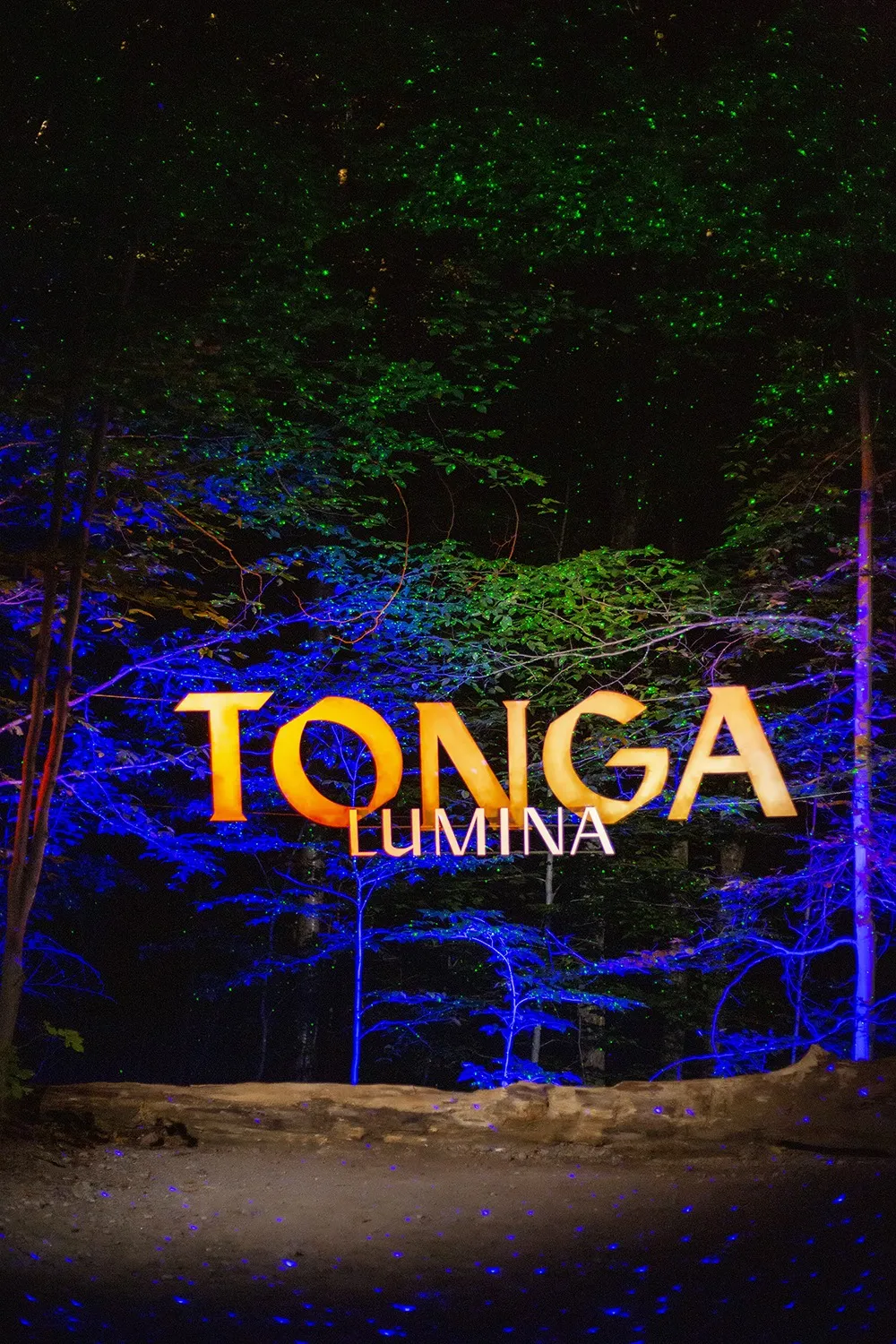 Illuminated forest at the Tonga Lumina show