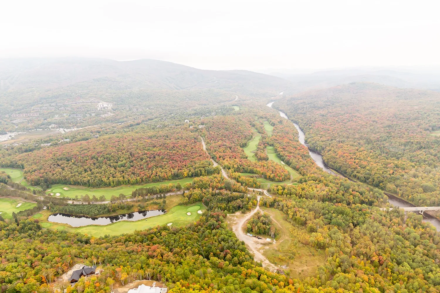 Fall foliage seen from the helicopter