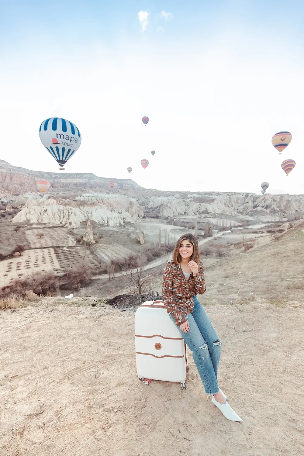 Stylish Delsey Chatelet suitcase