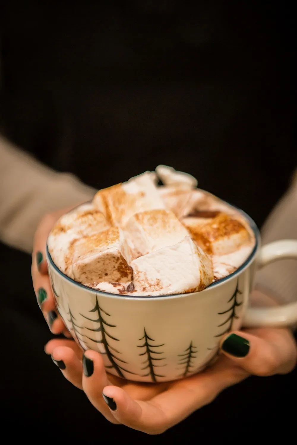 Rose hot cocoa with toasted marshmallows